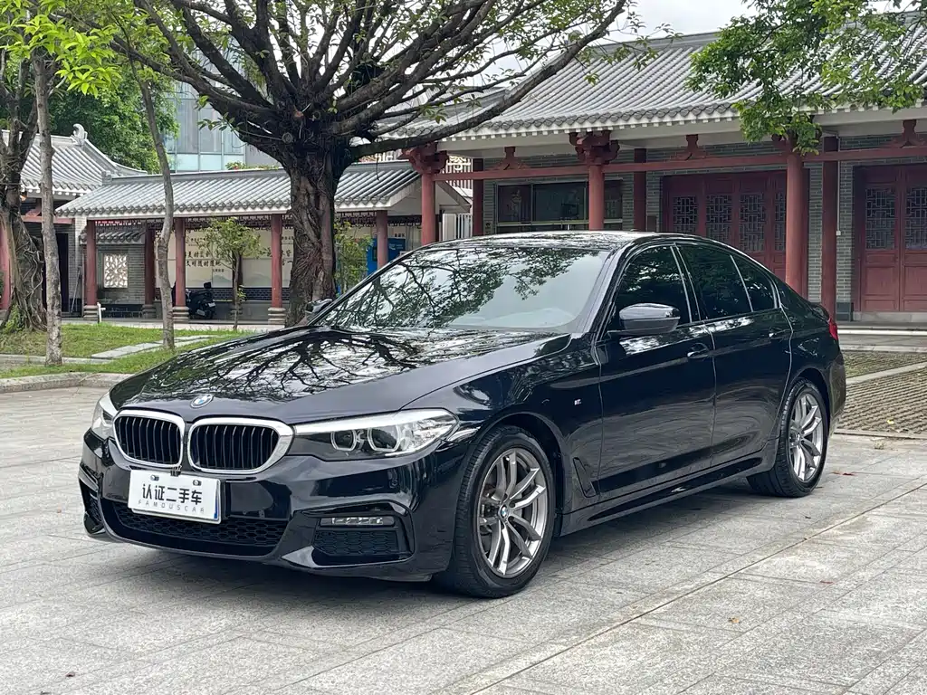 BMW 5 Series Import 2019 525i M Sport Package
