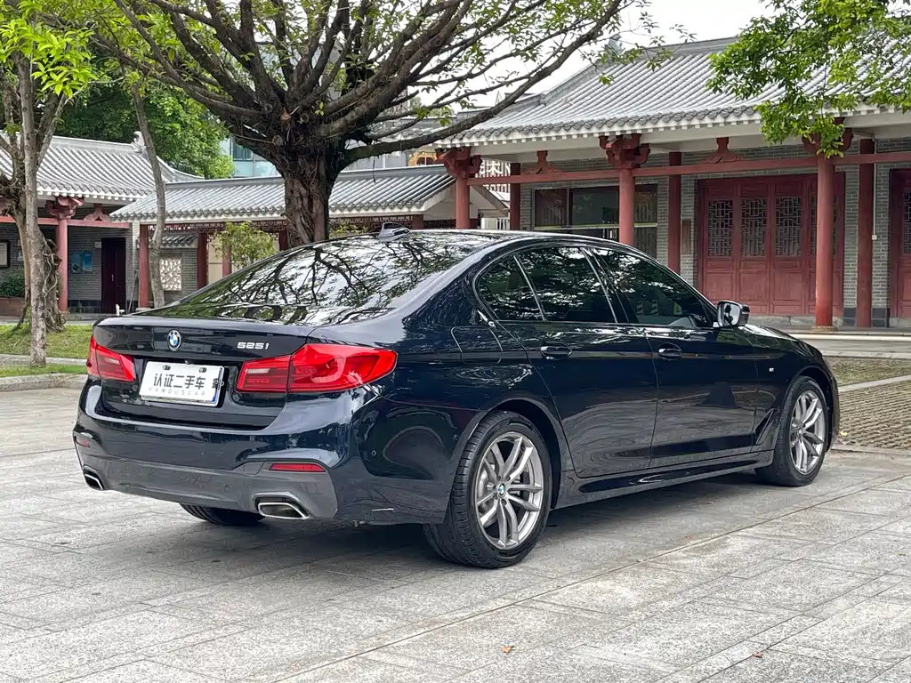 BMW 5 Series Import 2019 525i M Sport Package