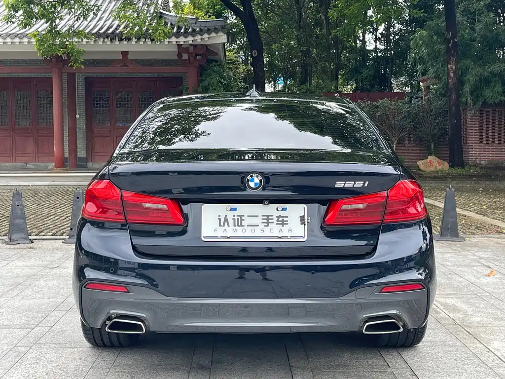BMW 5 Series Import 2019 525i M Sport Package