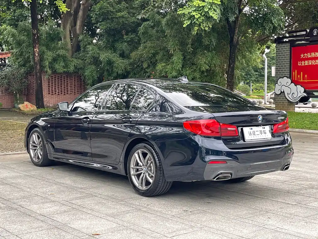 BMW 5 Series Import 2019 525i M Sport Package