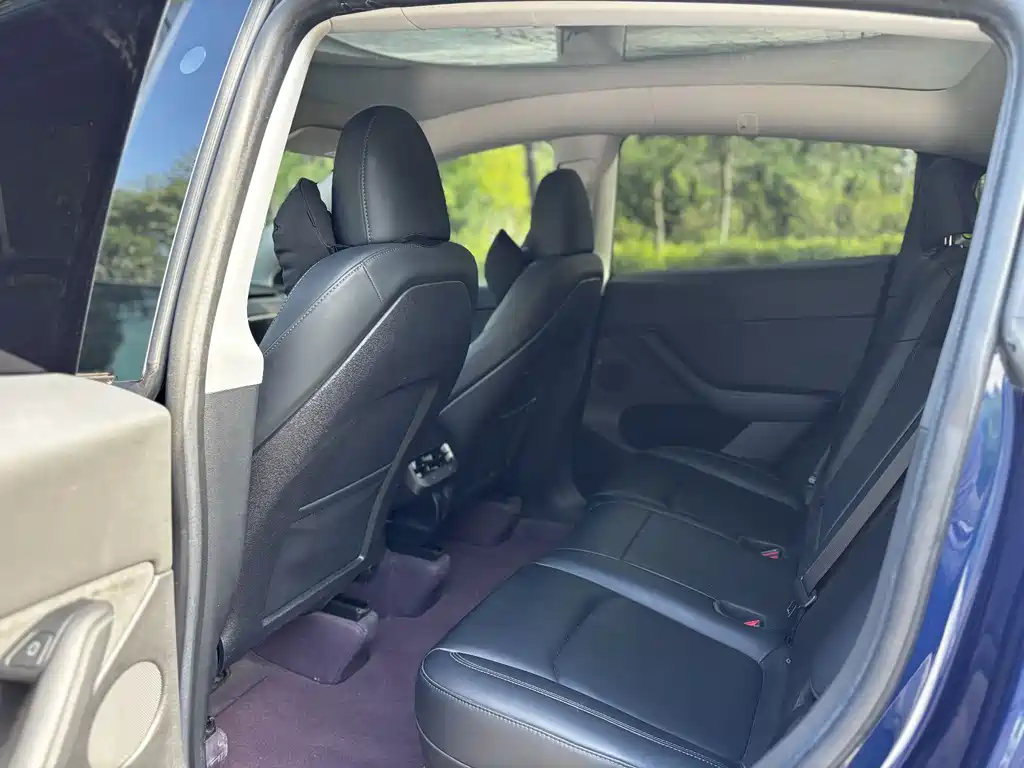 Model Y 2022 Rear-Wheel Drive Edition