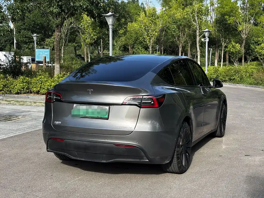 Model Y 2022 Rear-Wheel Drive Edition