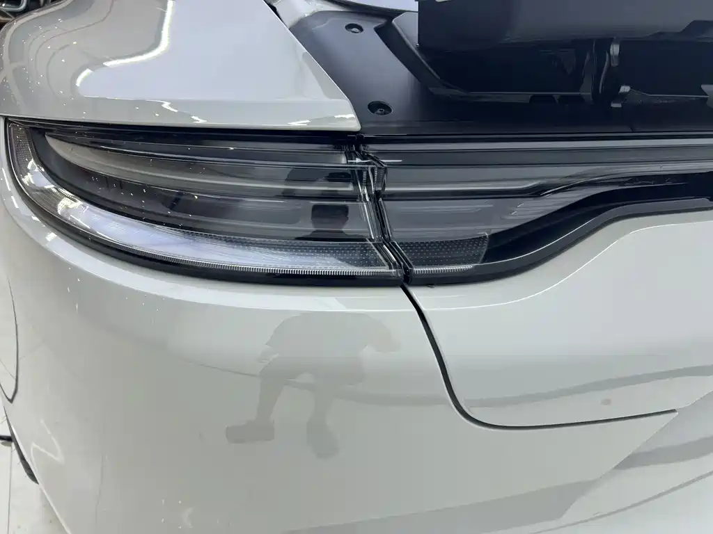 Panamera 2023 Facelift 4 Executive Long Platinum Edition 2.9T