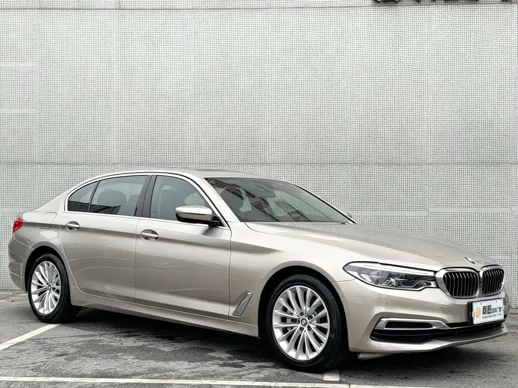 BMW 5 Series 2020 530Li Leading Edition Luxury Package
