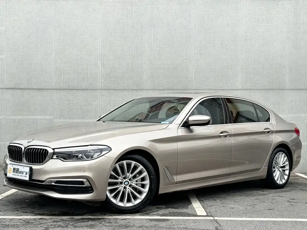 BMW 5 Series 2020 530Li Leading Edition Luxury Package
