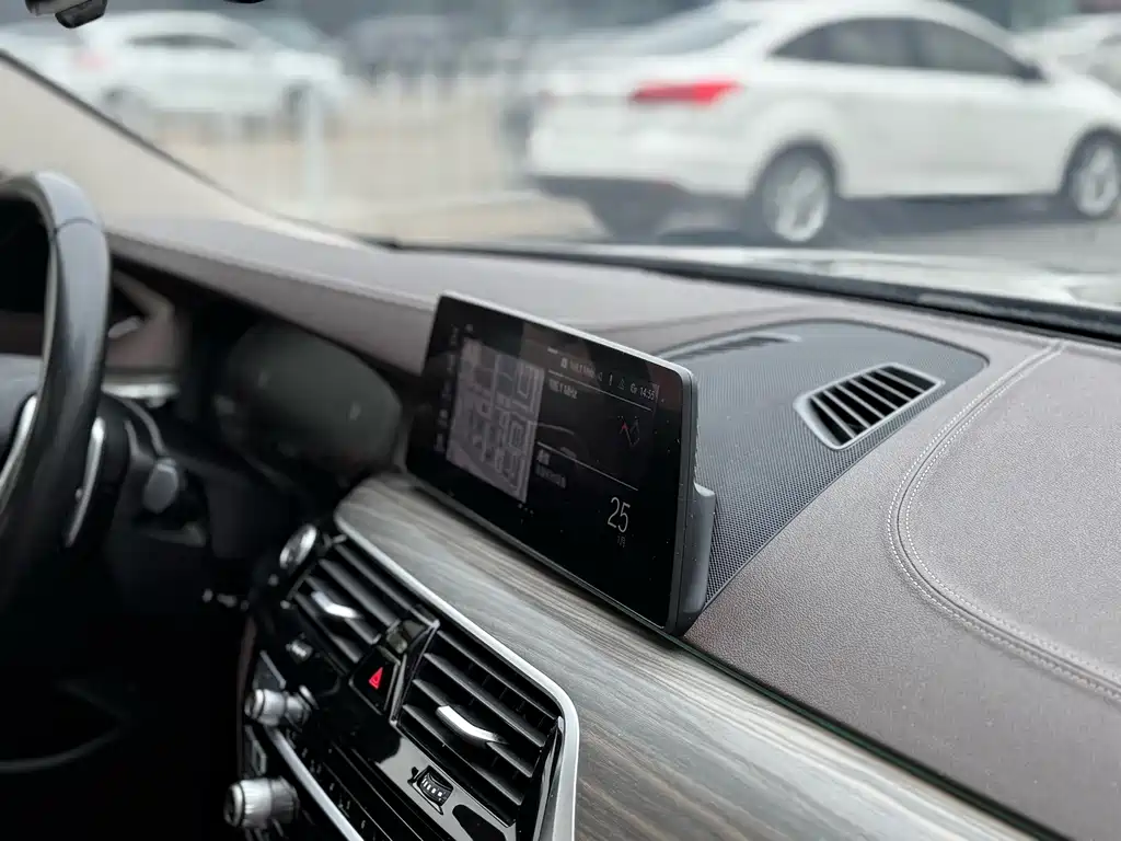 BMW 5 Series 2020 530Li Leading Edition Luxury Package