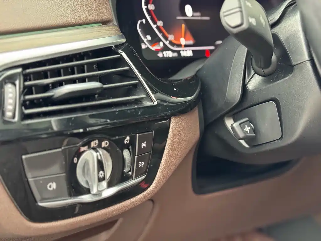BMW 5 Series 2020 530Li Leading Edition Luxury Package