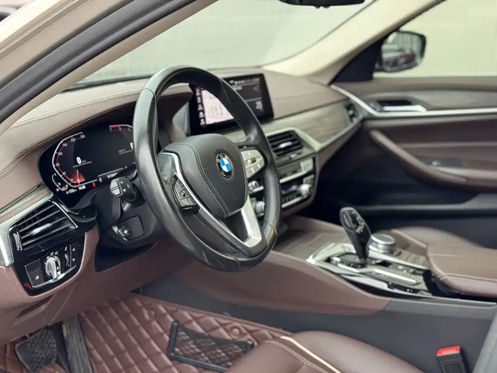 BMW 5 Series 2020 530Li Leading Edition Luxury Package