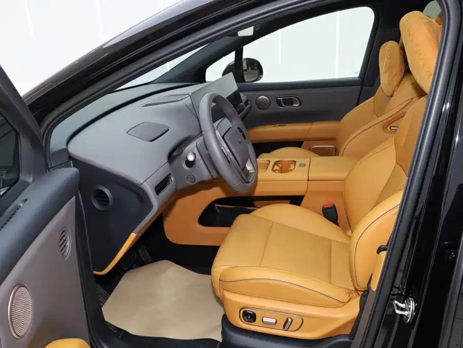 Lemon i6 2025 Model Two-wheel-drive Standard Edition