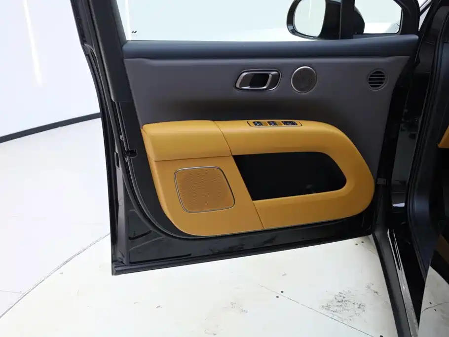 Lemon i6 2025 Model Two-wheel-drive Standard Edition