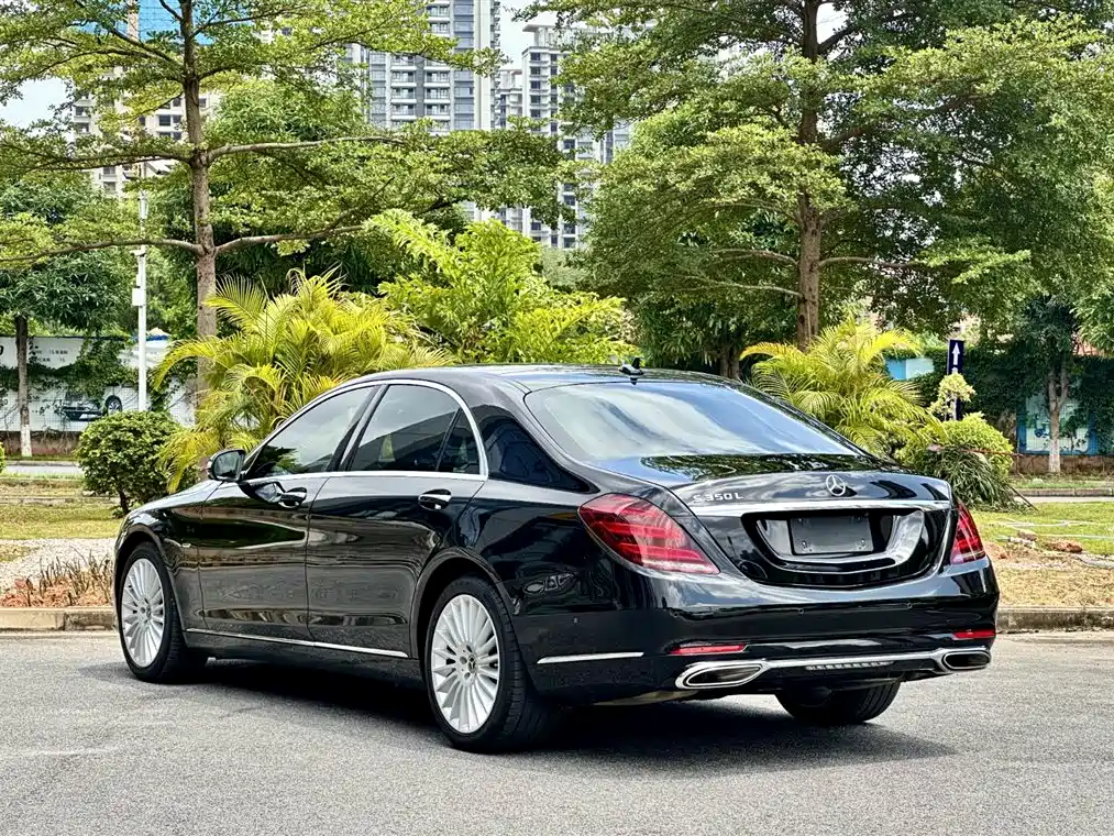 Mercedes S-Class 2020 S 350 L Business Edition Collectors' Edition