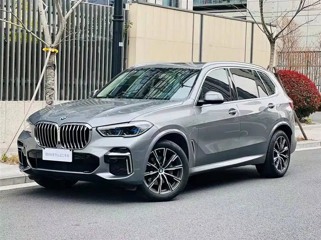 BMW X5 2022 xDrive 30Li M Sport Package
