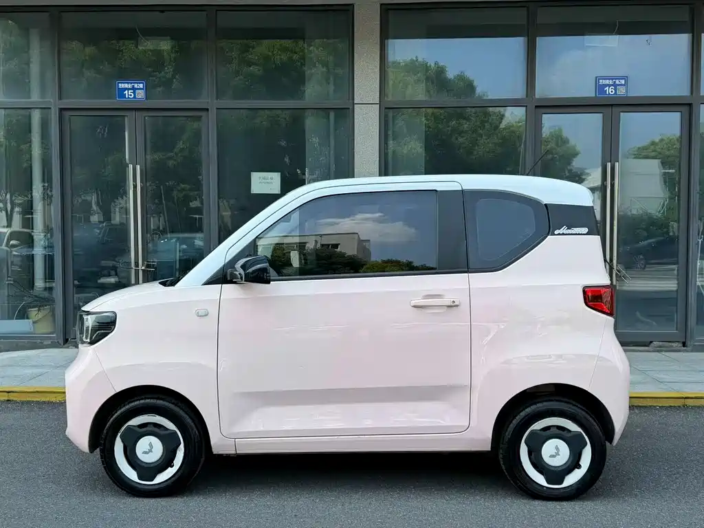 Macaron Zhenxiang Edition with LFP Battery