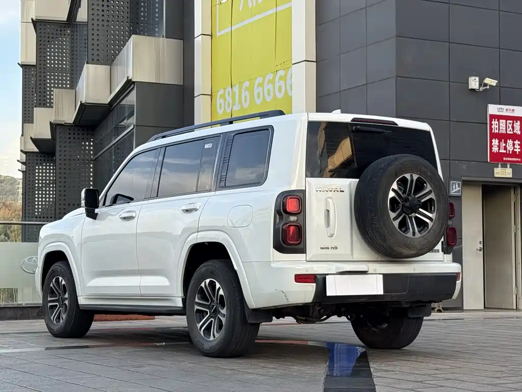 Haval H9 2024 Model 2.0T Gasoline 4WD Tengjing Edition