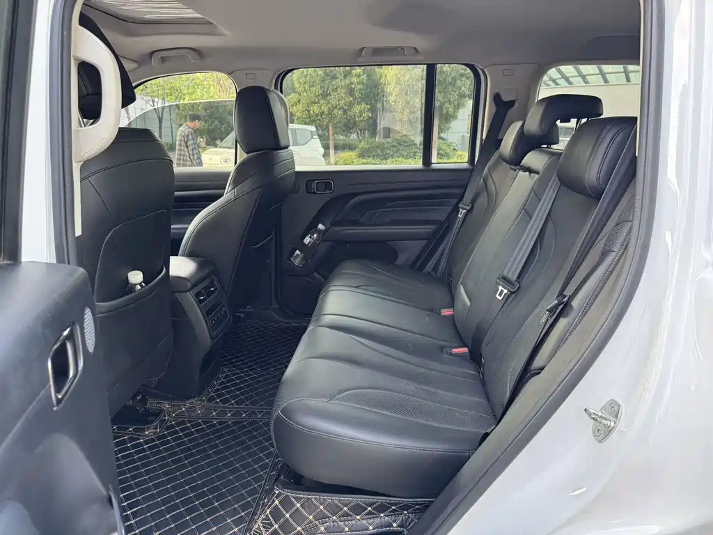 Haval H9 2024 Model 2.0T Gasoline 4WD Tengjing Edition