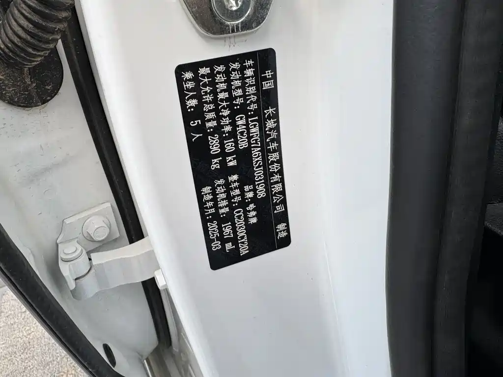 Haval H9 2024 Model 2.0T Gasoline 4WD Tengjing Edition