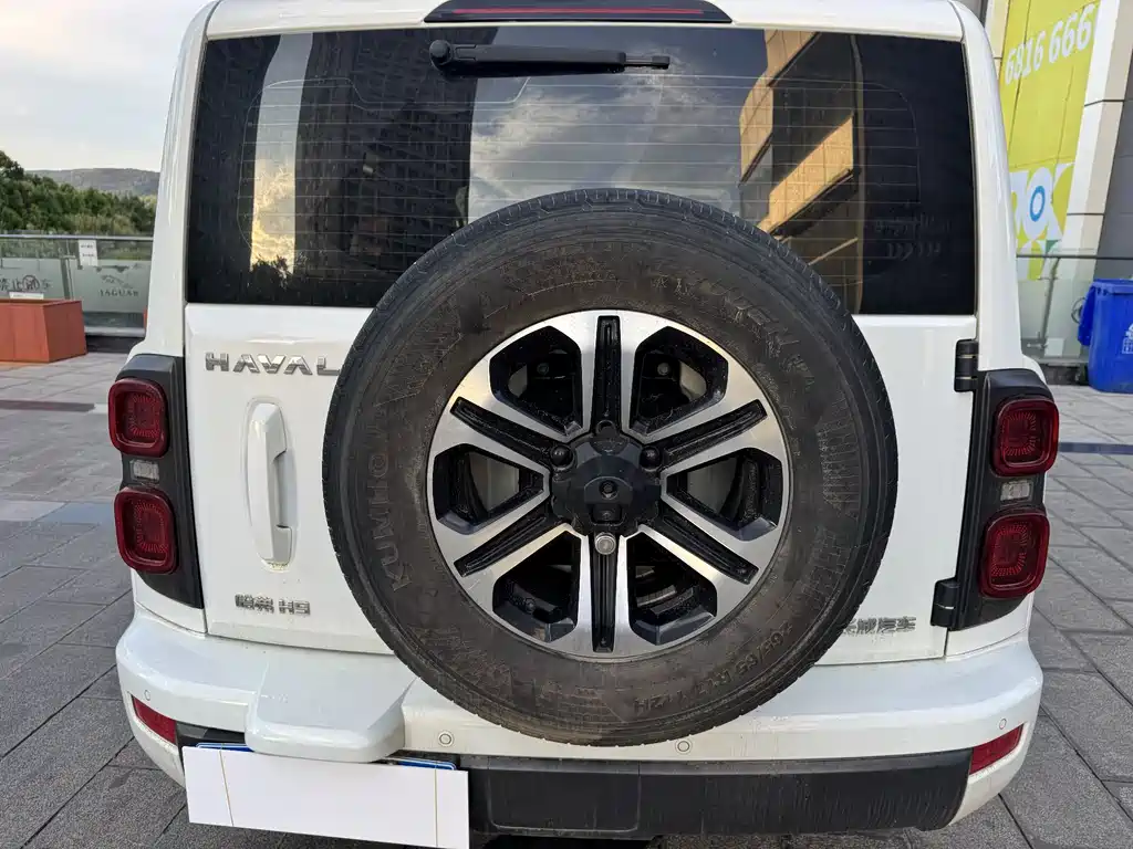 Haval H9 2024 Model 2.0T Gasoline 4WD Tengjing Edition