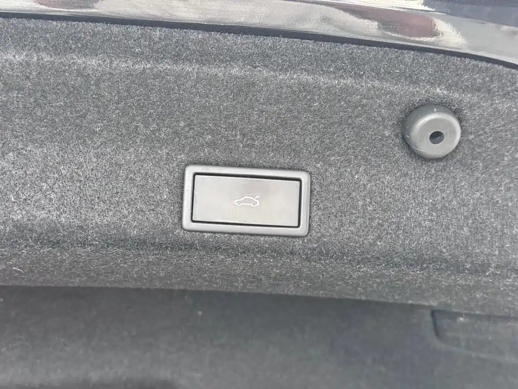 Magotan 2021 330TSI DSG 30th Anniversary Edition