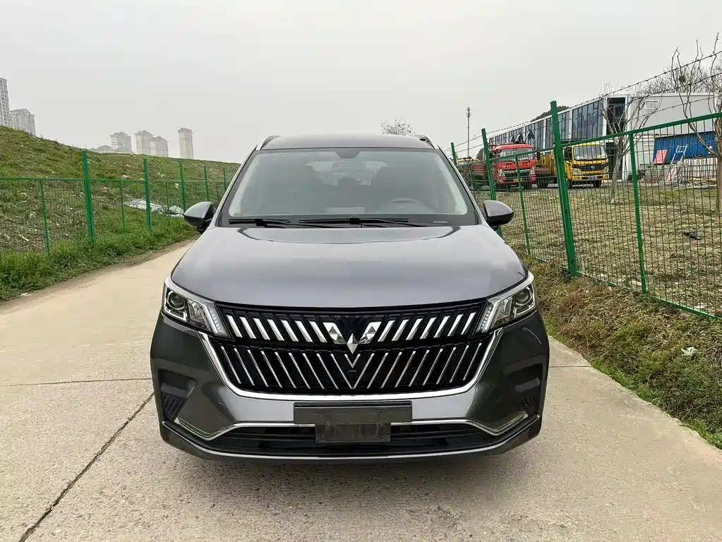 Wuling Jiachen 2022 1.5T Manual Shuxiang Liveliness Edition