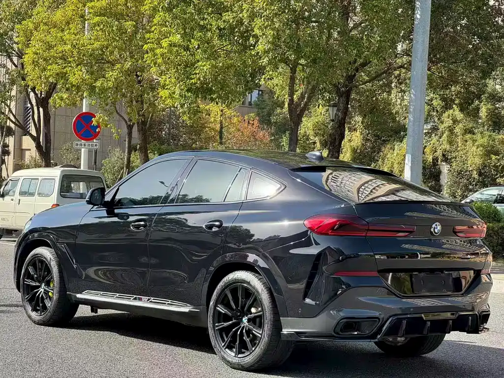 BMW X6 2020 xDrive40i M Sport Package