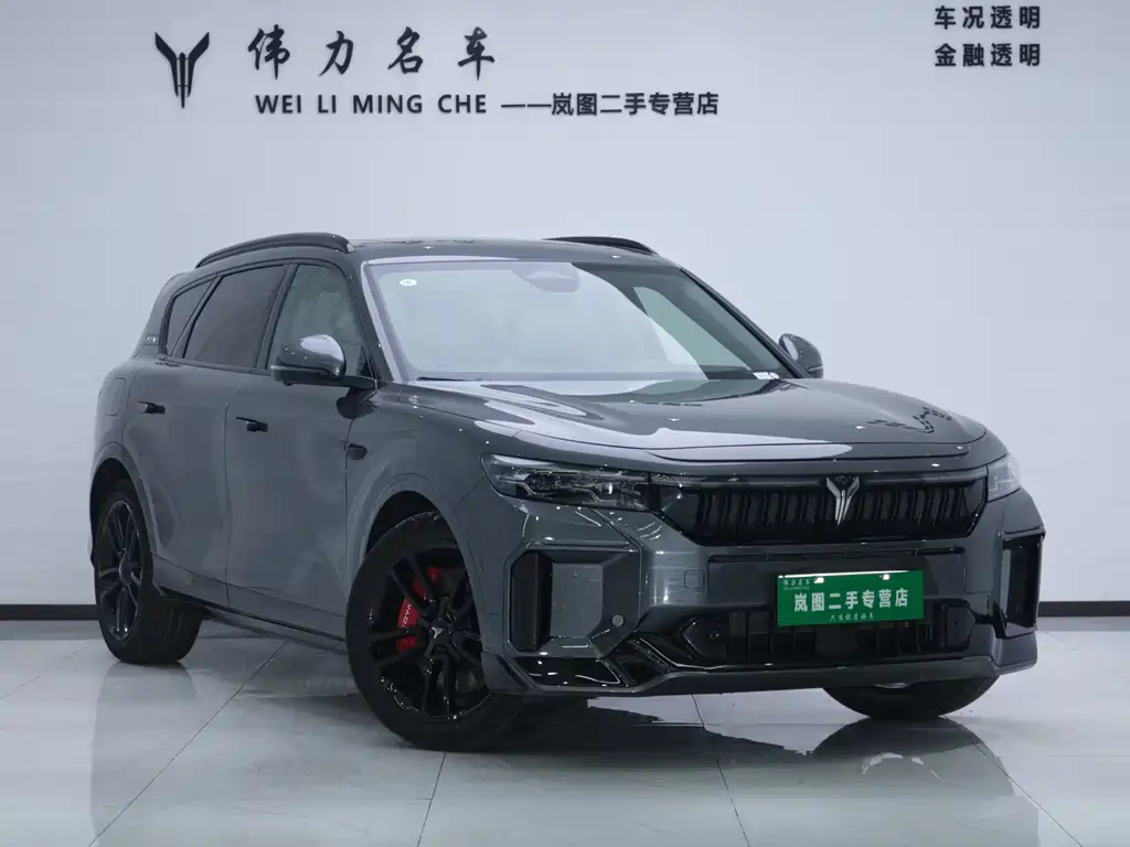 Lingtu FREE 2025 Edition 318 318km Rear-wheel Drive Global Edition