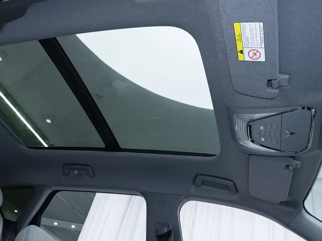 Lingtu FREE 2025 Edition 318 318km Rear-wheel Drive Global Edition
