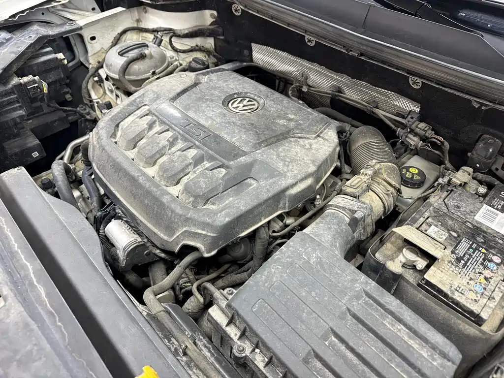 Tou岳 2019 330TSI 4x4 Luxury Edition National VI