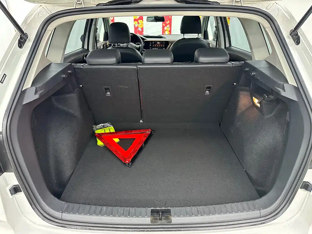 Tou岳 2019 330TSI 4x4 Luxury Edition National VI