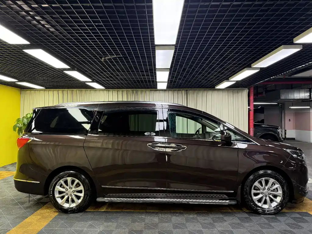 Buick GL8 2017 ES 28T Luxury Edition National V