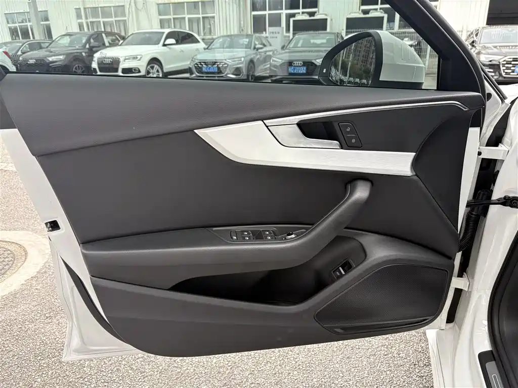 Audi A4L 2020 40 TFSI Luxury Dynamic Edition