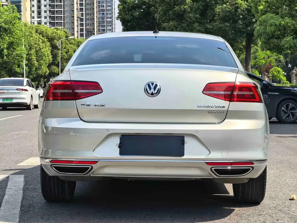 Magotan 2019 330TSI DSG Luxury Edition National V