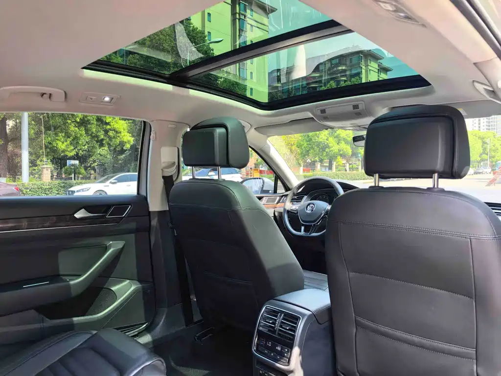 Magotan 2019 330TSI DSG Luxury Edition National V