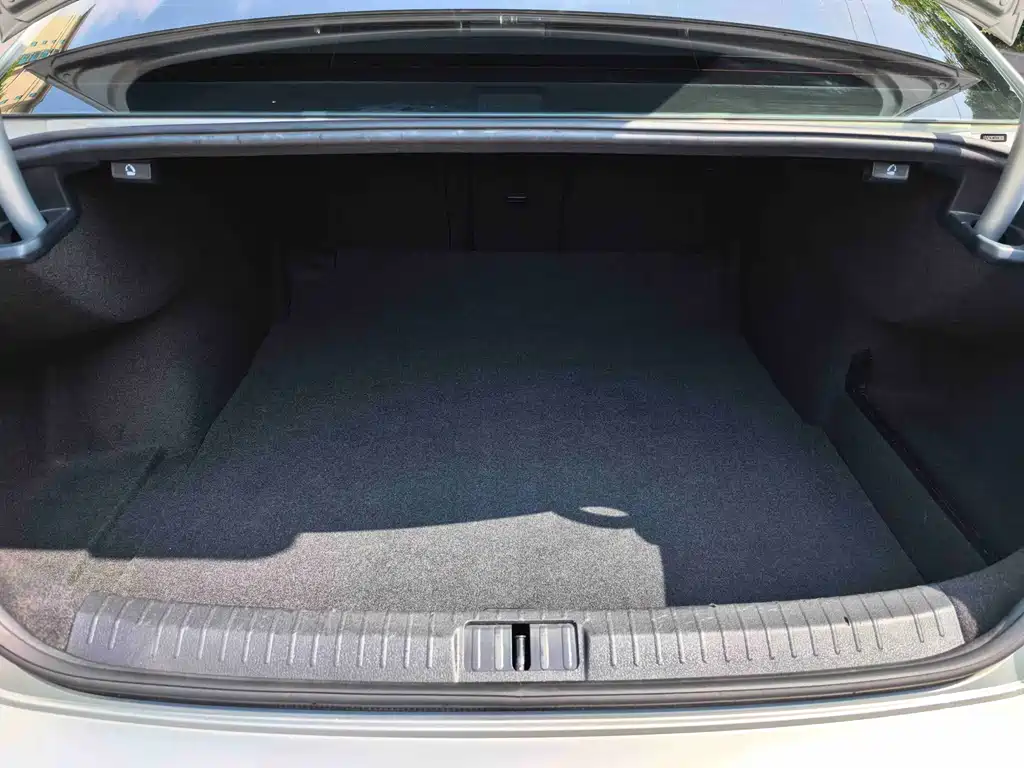 Magotan 2019 330TSI DSG Luxury Edition National V