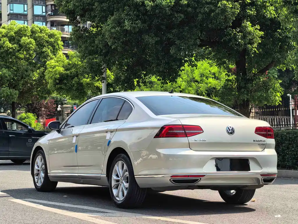 Magotan 2019 330TSI DSG Luxury Edition National V