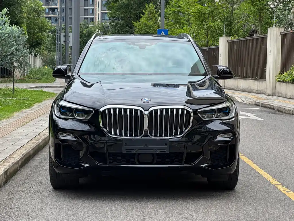 BMW X5 Import 2019 Model xDrive40i Excellence Edition M Sport Package