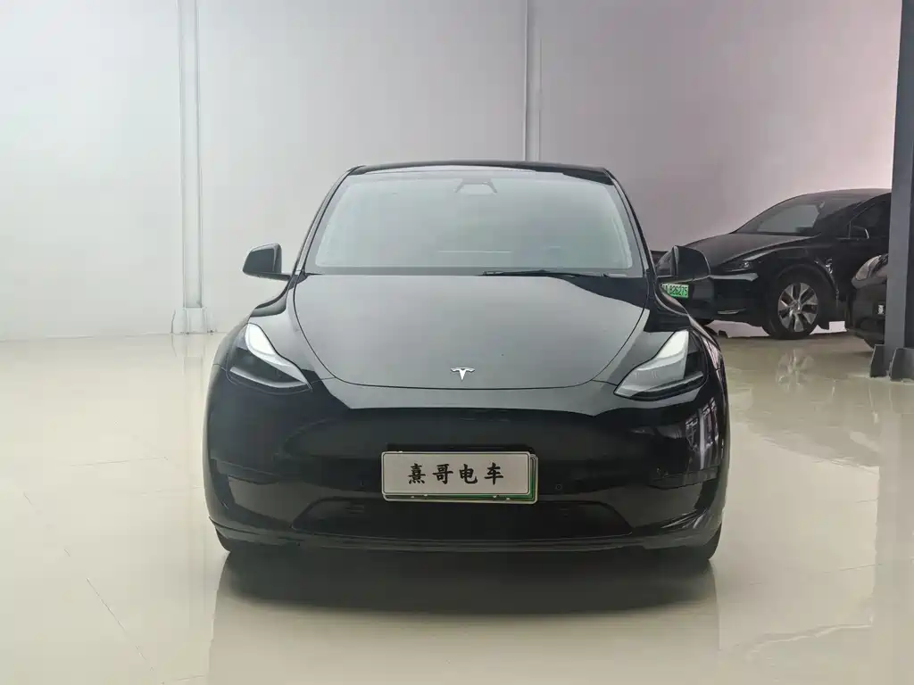 Model Y 2022 Rear-Wheel Drive Edition