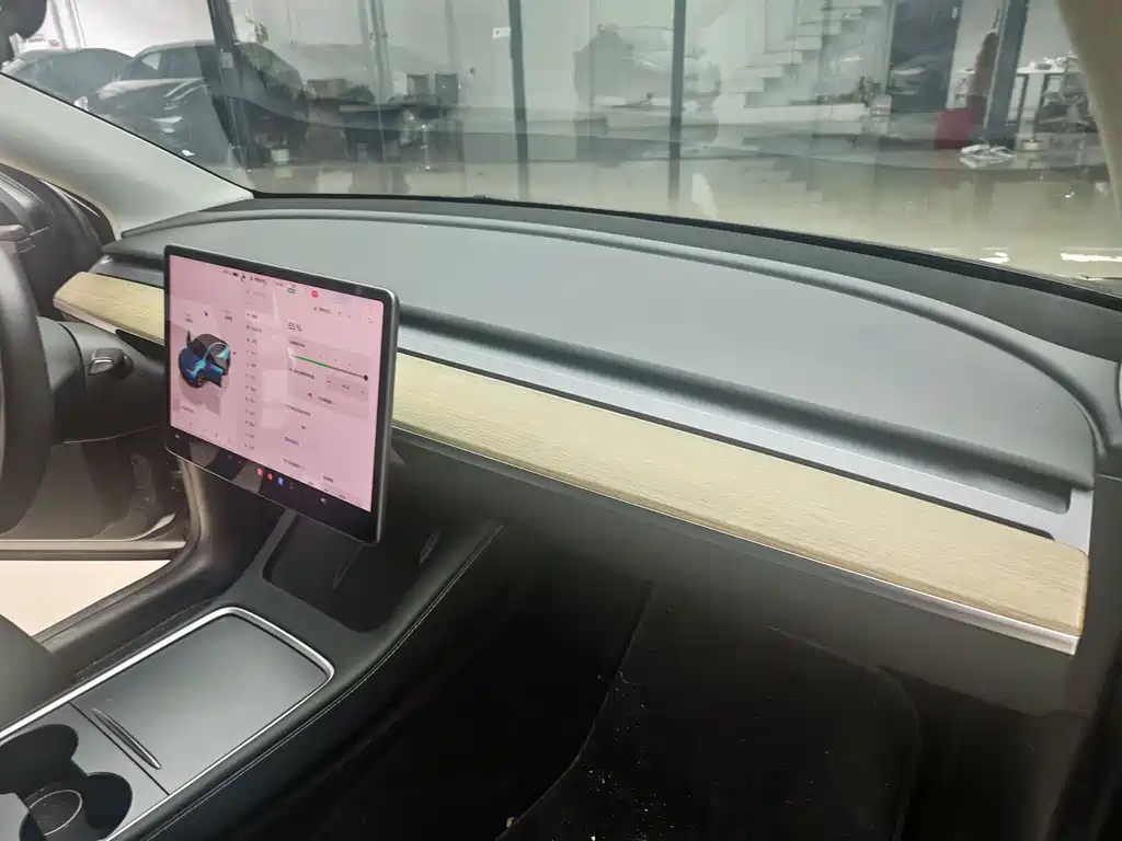 Model Y 2022 Rear-Wheel Drive Edition