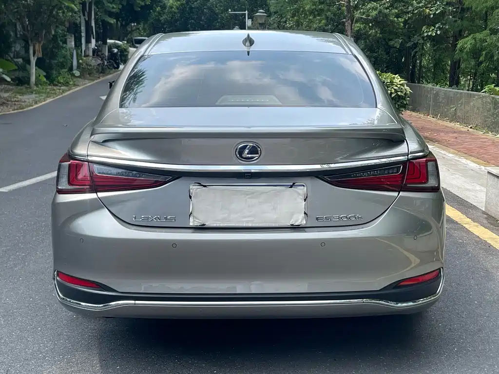Lexus ES 2018 300h Excellence Edition National V