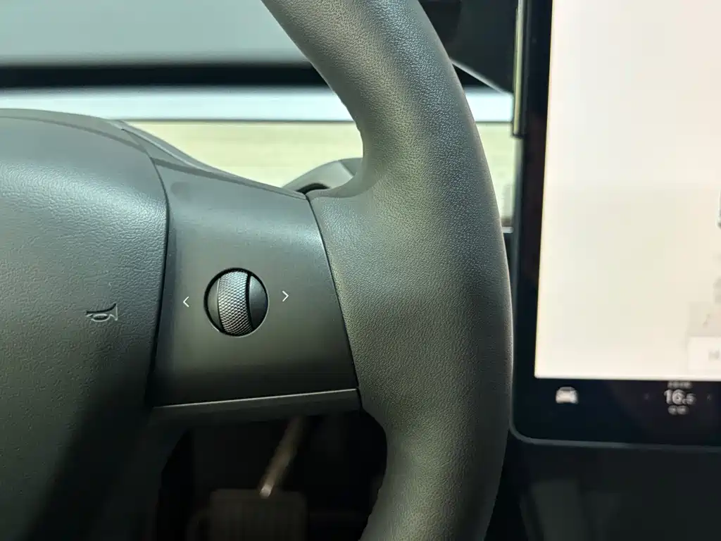 Model Y 2022 Rear-Wheel Drive Edition