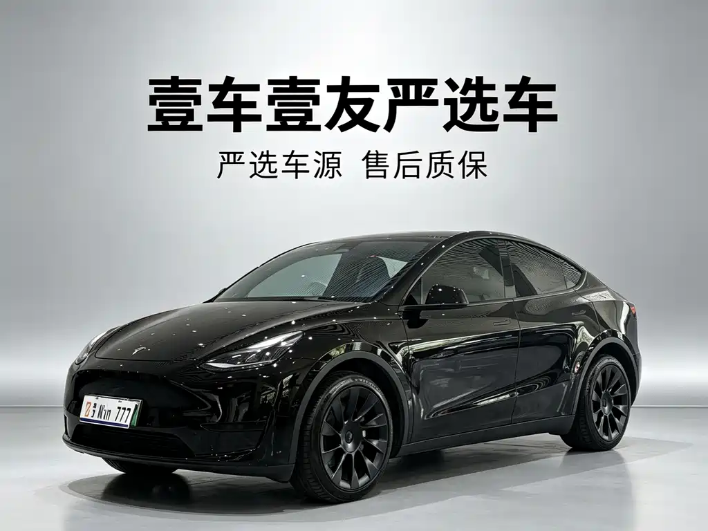 Model Y 2022 Rear-Wheel Drive Edition