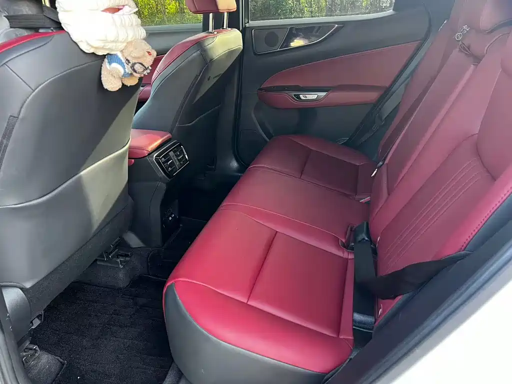 Lexus NX 2024 260 FWD Chuangyue Edition