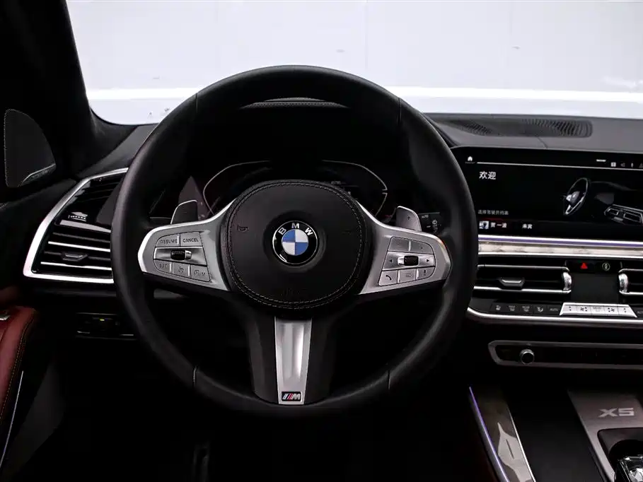 BMW X5 2022 xDrive 40Li M Sport Package