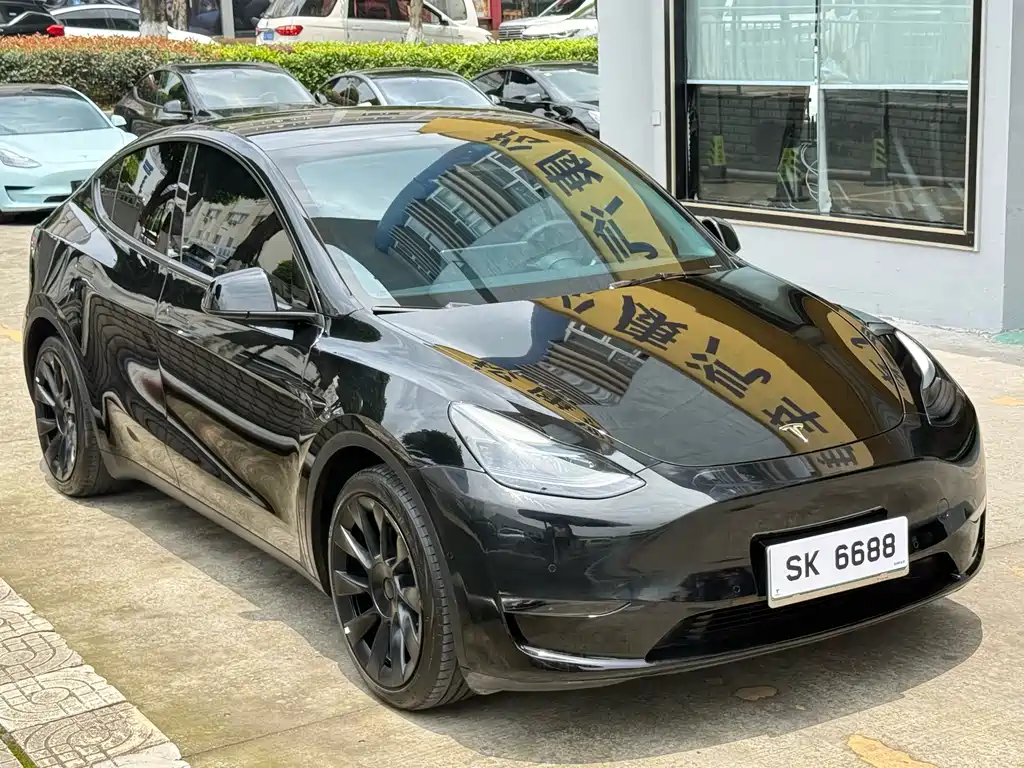 Model Y 2022 Long Range All-Wheel Drive Edition