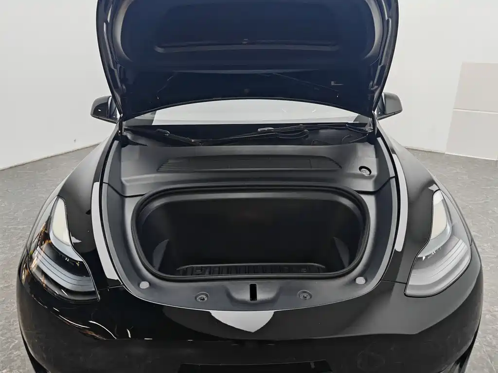 Model Y 2022 Rear-Wheel Drive Edition