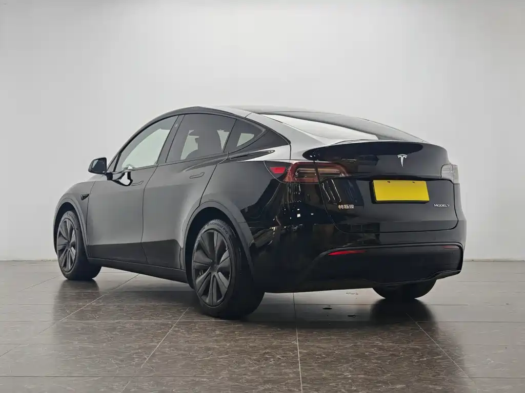 Model Y 2022 Rear-Wheel Drive Edition