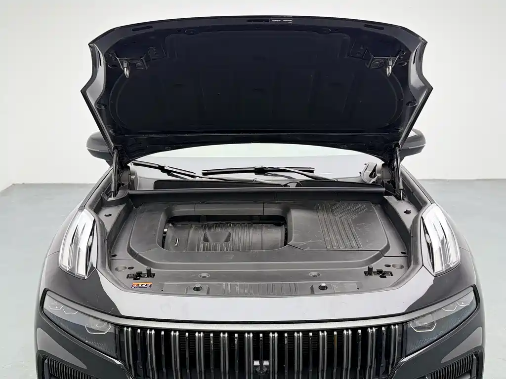 Lynk & Co 09 EM-P 2021 2.0T PHEV Ultra 6-seat