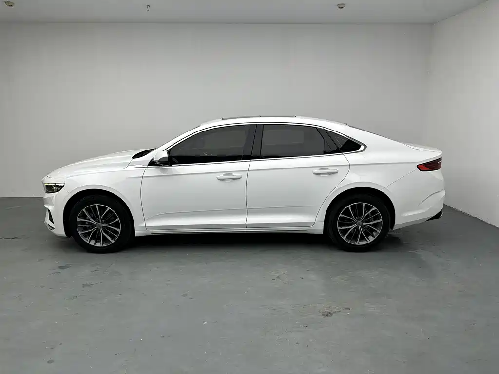 Starry 2021 Model 2.0TD Luxury Edition