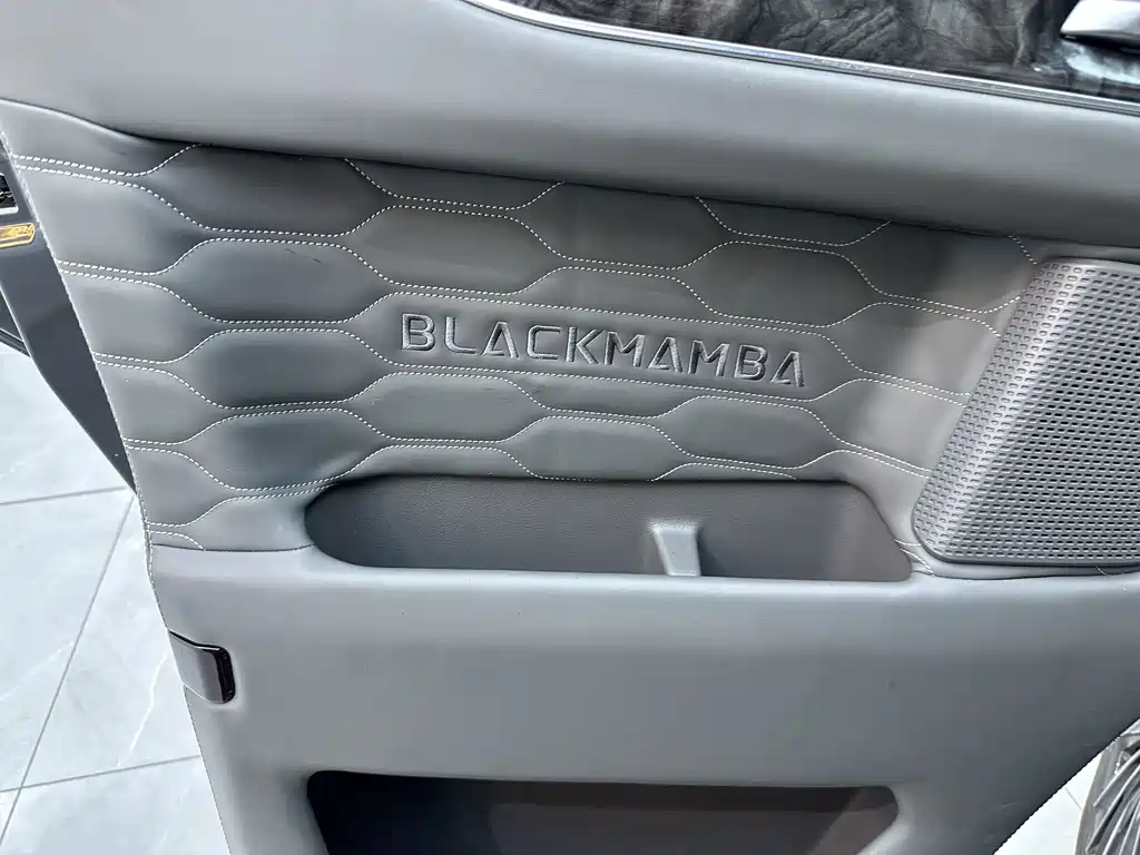 Watson Ford Black Knight 2022 Model 2.0T Peak Edition
