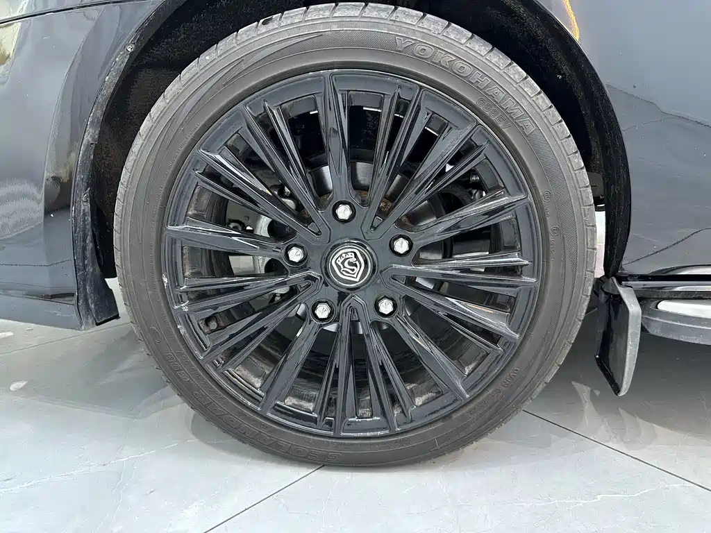 Watson Ford Black Knight 2022 Model 2.0T Peak Edition