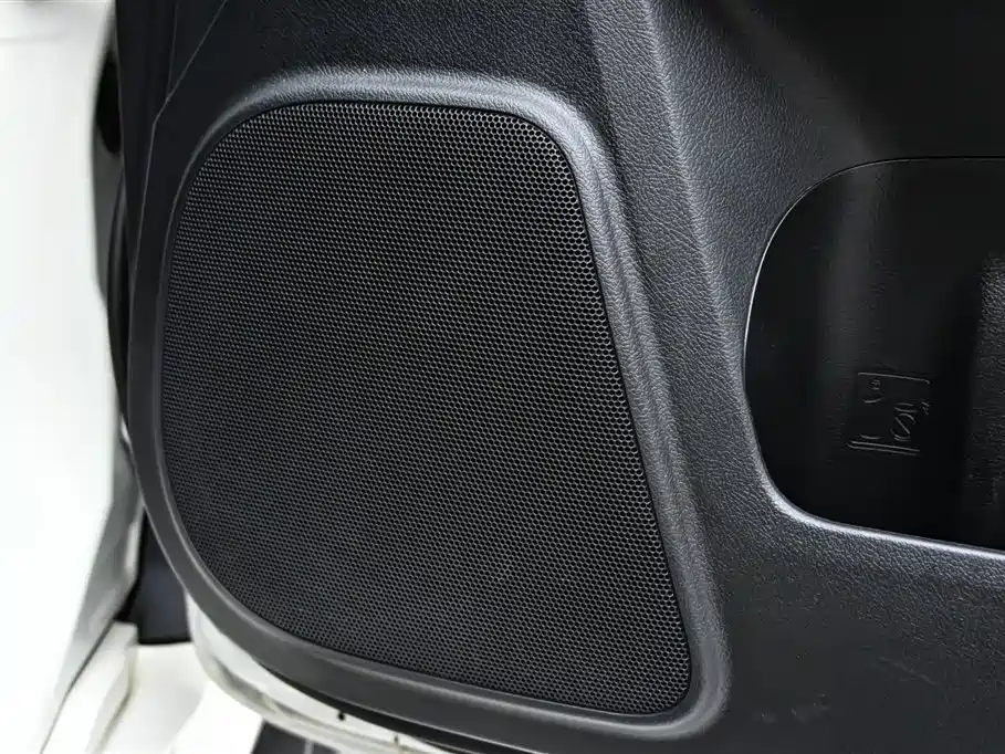 Prado 2019 3.5L Automatic TX-L Prestige Edition Rear Spare Tire